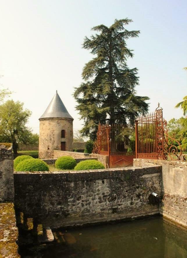 Logis De La Helberdiere Cossé-en-Champagne Exterior photo